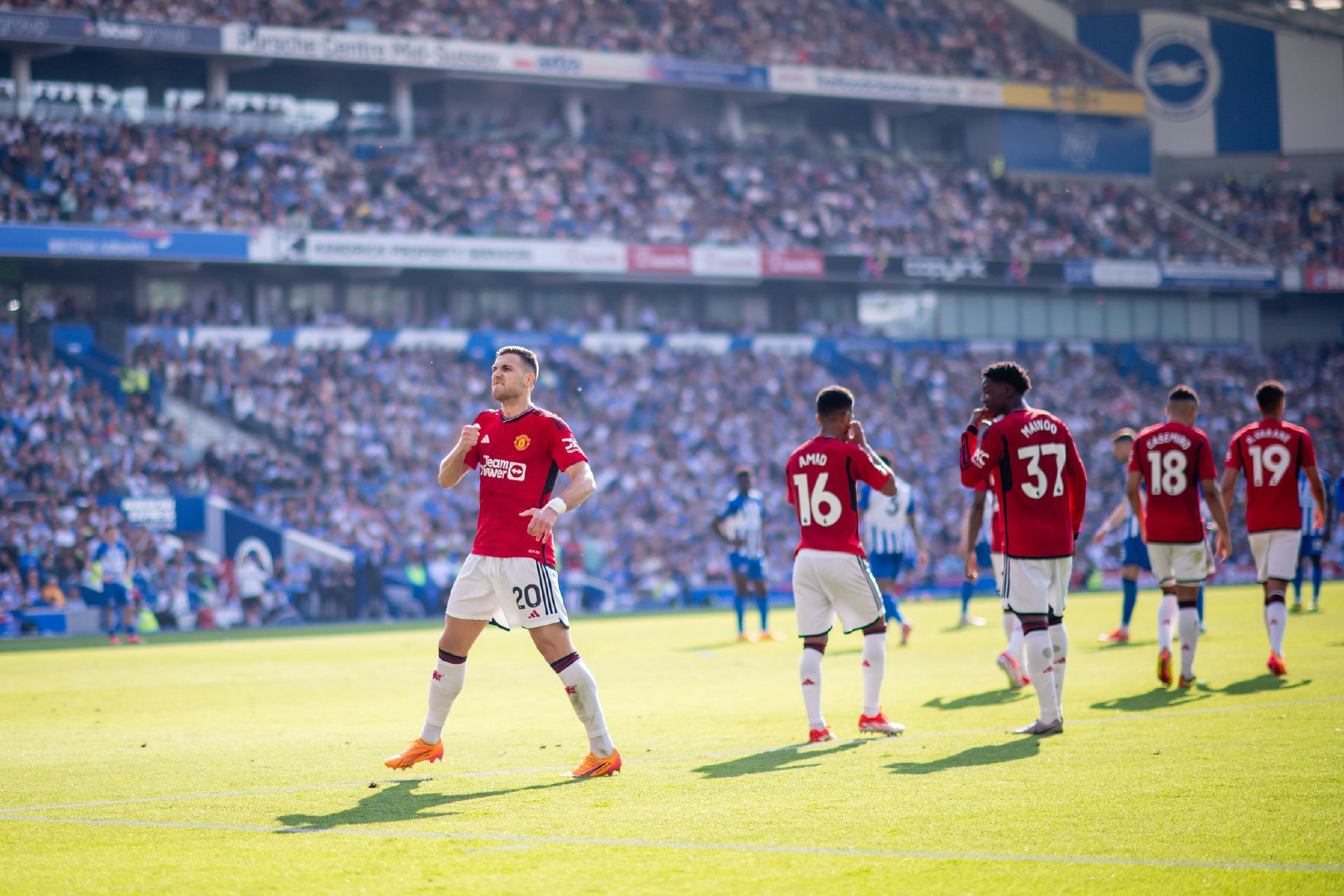 文化和组织 文化和组织